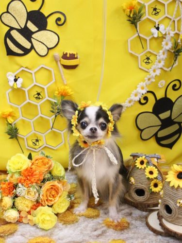 20250905ひめちゃん