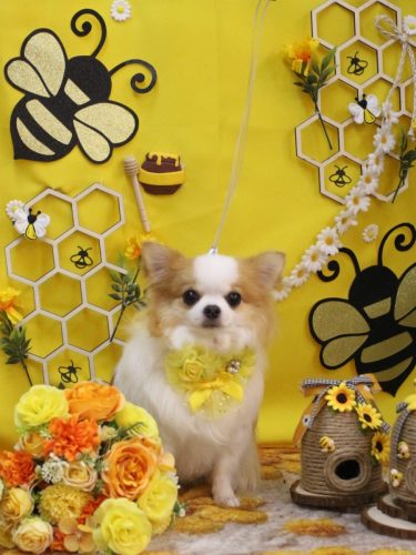 20250905りくくん