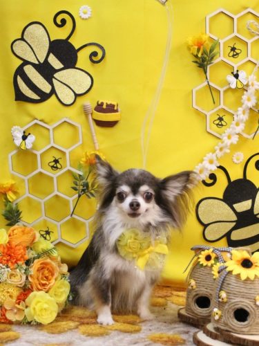 20250905空太くん