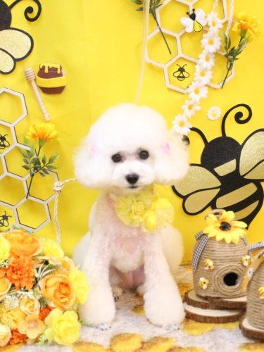 20250906ゆわちゃん