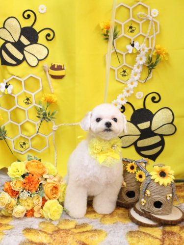 20250906シェリーちゃん