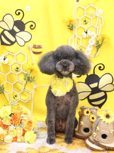 20250906ボーロくん