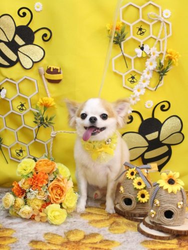 20250906くうくん