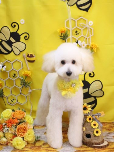 20250906ポンくん