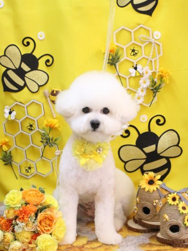 20250906姫葵ちゃん