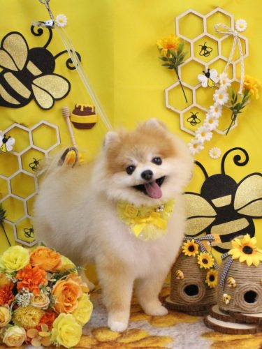 20250906モコくん