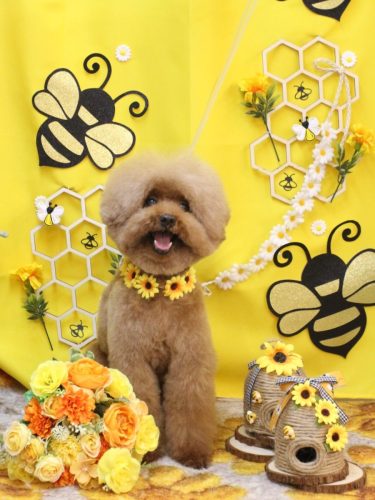 20250907カイくん