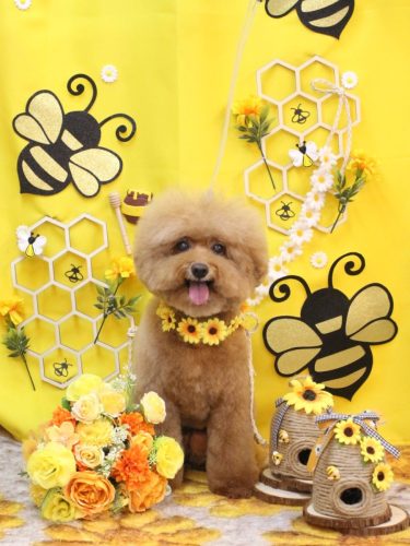 20250907ソラくん