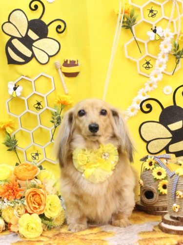 20250907モカちゃん