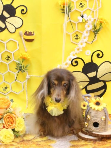 20250907ココアちゃん