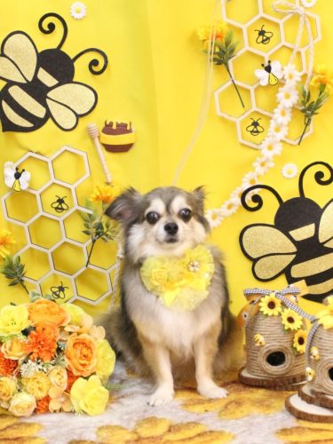 20250907あもちゃん 