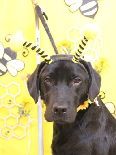 20250909文太くん