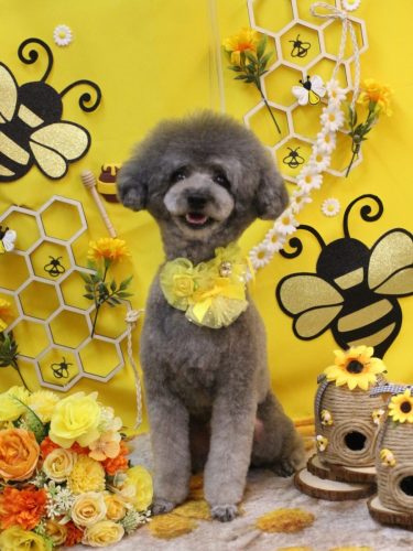 20250910るいくん