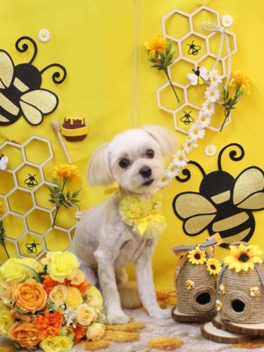 20250910むぎまるくん