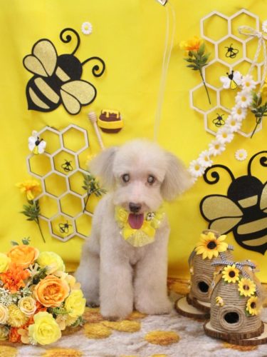 20250910ロンくん