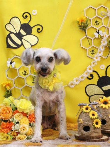 20250910ここちゃん