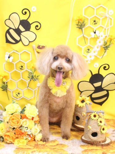 20250910メリーちゃん