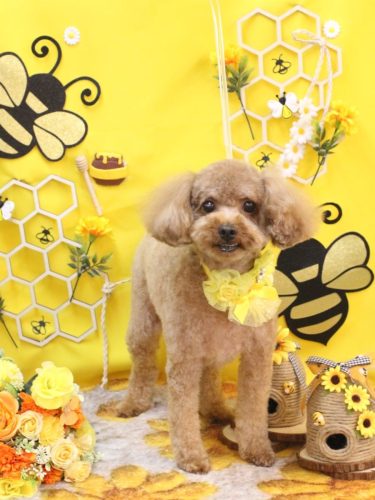 20250910レオくん