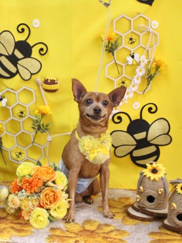 20250910リーダーくん