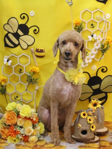 20250910ぶるくん