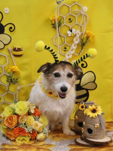 20250910こはるちゃん