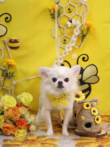 20250910りゅうくん