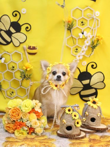 20250911りるちゃん