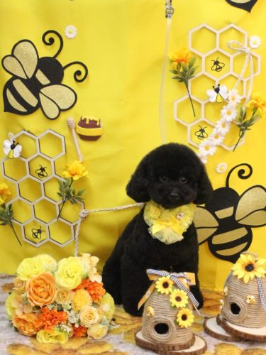 20250911レアちゃん