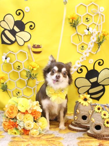 20250911ルアちゃん