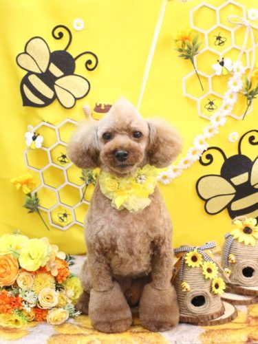 20250911くぅくん