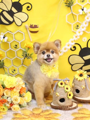 20250911のんちゃん