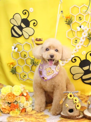 20250911モンチちゃん