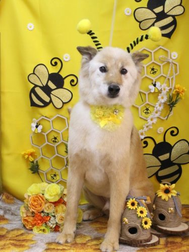 20250912れんくん