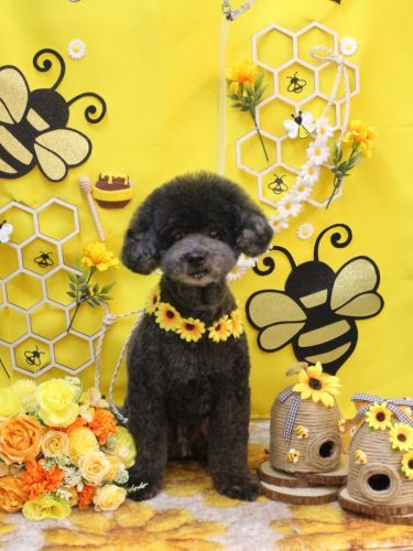 20250912コタロウくん