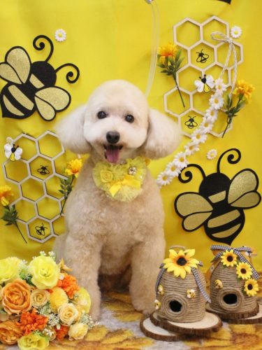 20250912ジョナくん