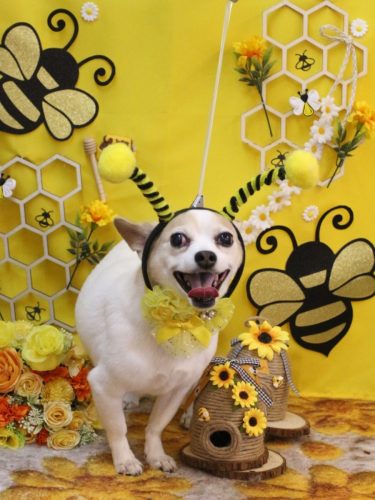 20250912うにちゃん