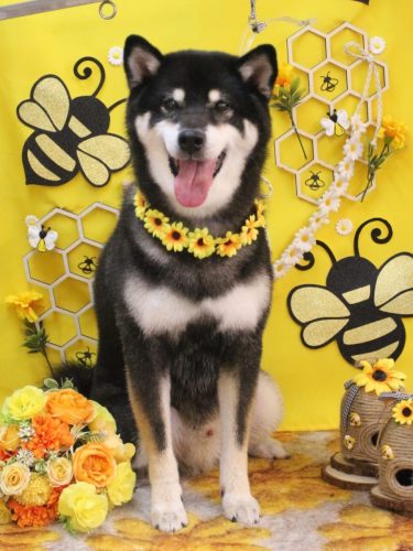 20250913ジローくん 