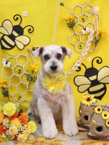 20250913ボルトくん