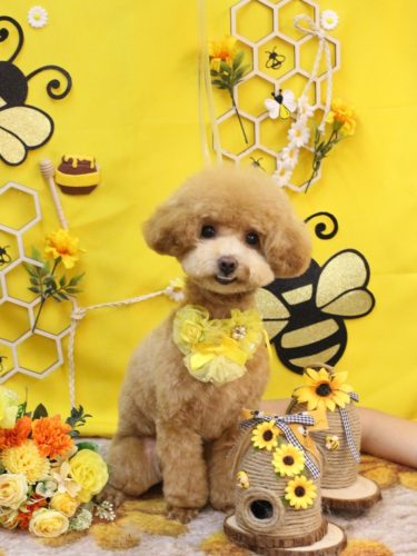 20250913アミーちゃん