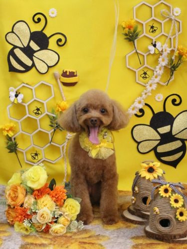 20250913このはちゃん