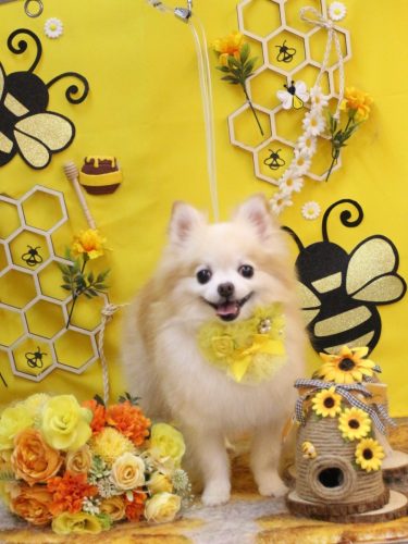 20250913小豆くん