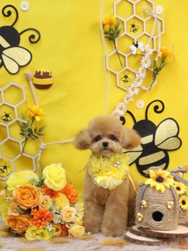 20250913あむちゃん