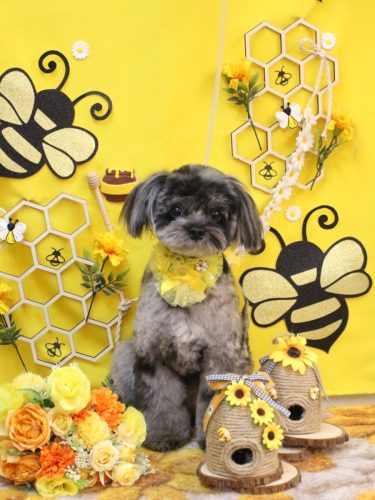 20250913うにちゃん