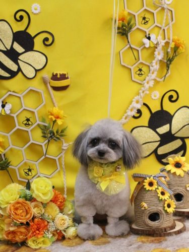 20250913べにちゃん