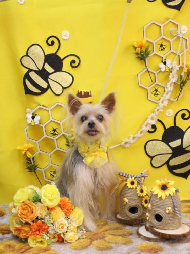 20250913ココちゃん