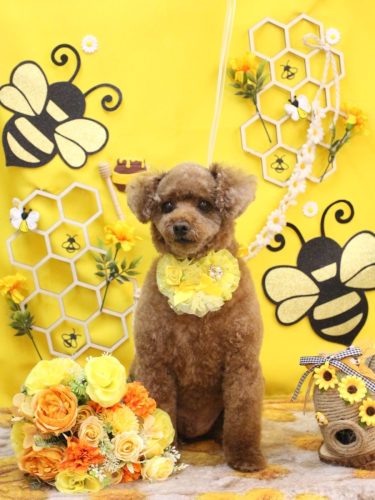 20250914ココアくん