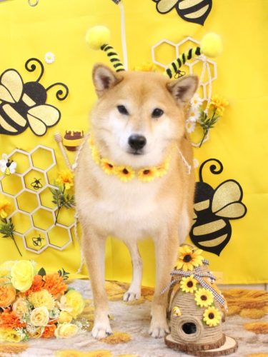 20250914シュウくん