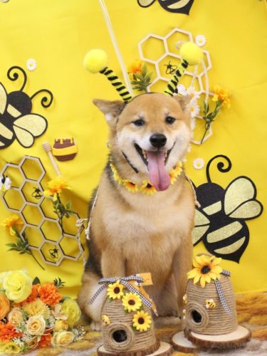 20250914リンちゃん