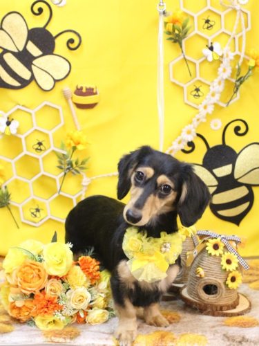 20250914びびちゃん