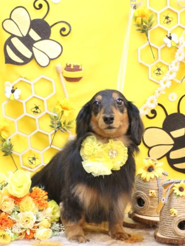 20250914イヴくん